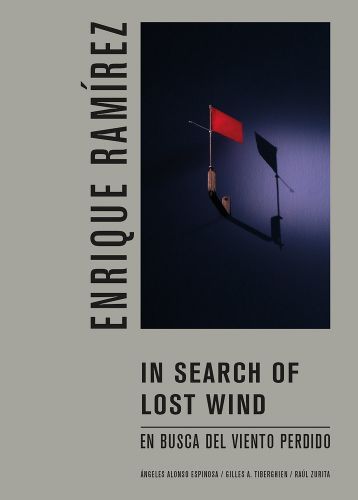 Cover image for In Search of Lost Wind