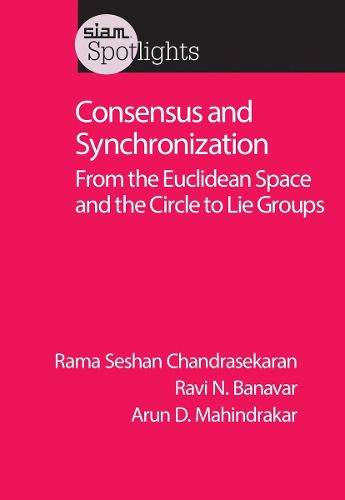 Cover image for Consensus and Synchronization