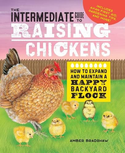 Cover image for The Intermediate Guide to Raising Chickens: How to Expand and Maintain a Happy Backyard Flock