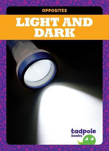 Cover image for Light and Dark