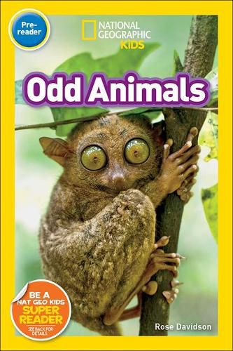 Cover image for Odd Animals