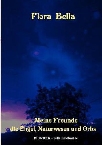 Cover image for Meine Freunde die Engel, Naturwesen und Orbs