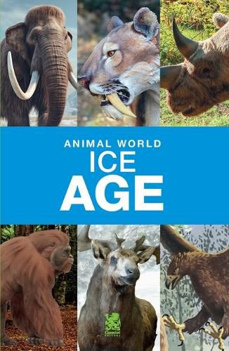 Cover image for Animal World