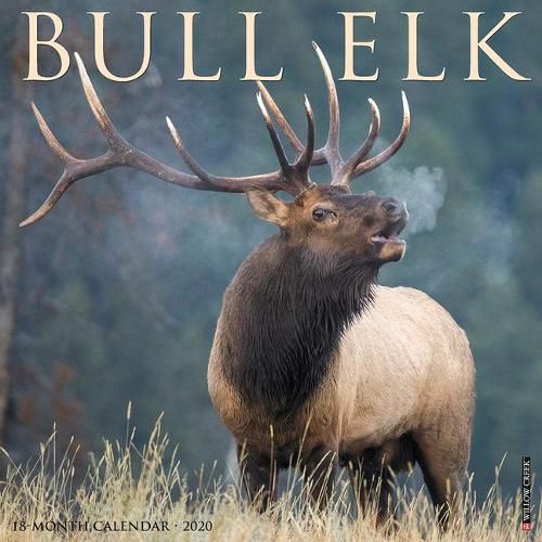 Cover image for Bull Elk 2020 Wall Calendar