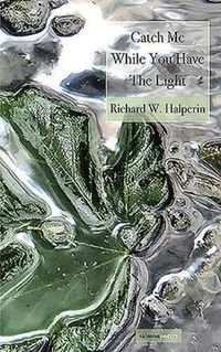 Cover image for Catch Me While You Have the Light