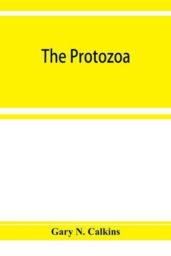 Cover image for The Protozoa