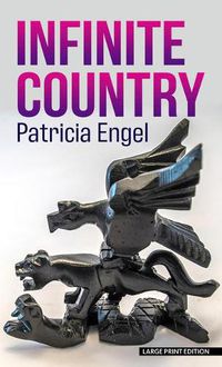 Cover image for Infinite Country