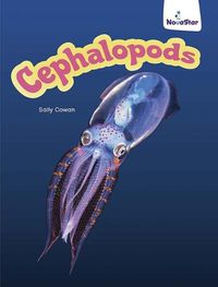 Cover image for Cephalopods