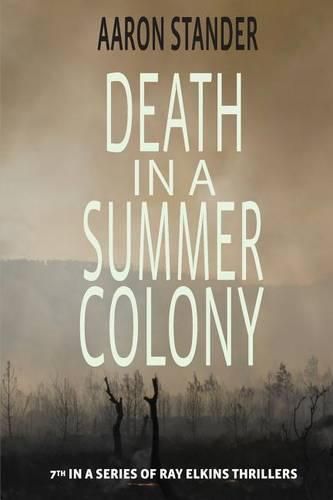 Cover image for Death in a Summer Colony