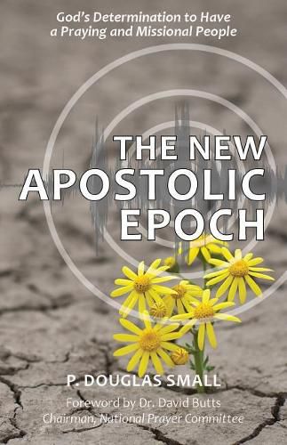 Cover image for The New Apostolic Epoch