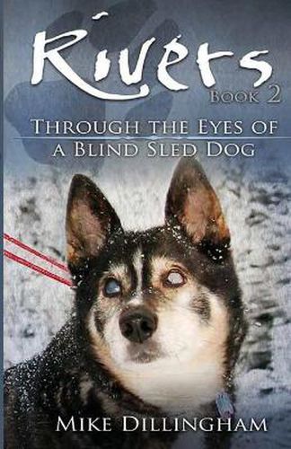 Cover image for Rivers: Through the Eyes of a Blind Dog