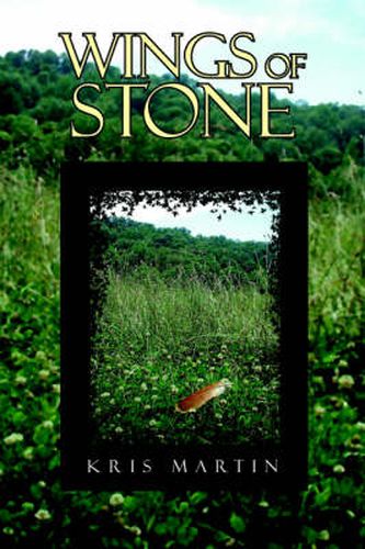 Cover image for Wings of Stone