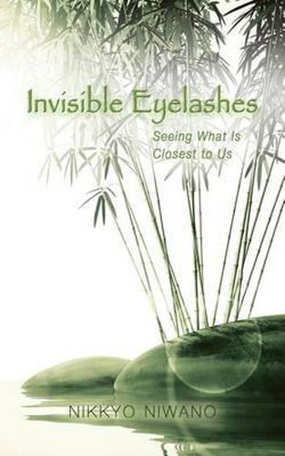 Cover image for Invisible Eyelashes: Seeing What is Closest to Us