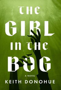 Cover image for The Girl in the Bog