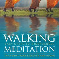 Cover image for Walking Meditation: Easy Steps to Mindfulness