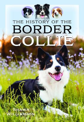 Cover image for The History of the Border Collie