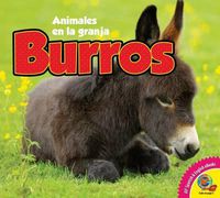 Cover image for Burros