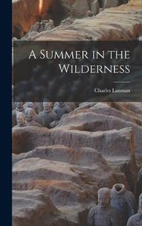 Cover image for A Summer in the Wilderness