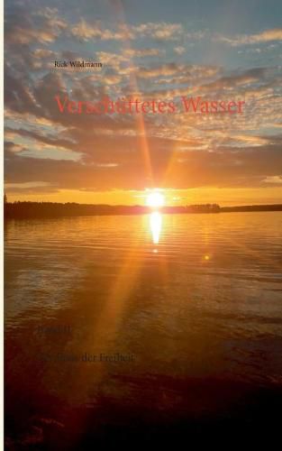 Cover image for Verschuttetes Wasser: Band II Der Preis der Freiheit