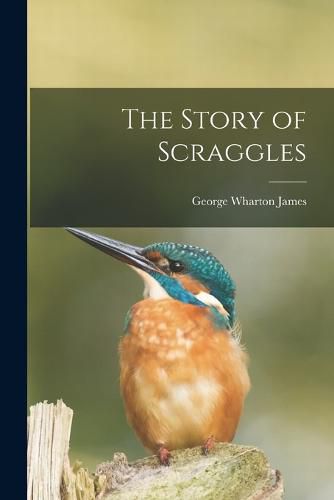 Cover image for The Story of Scraggles