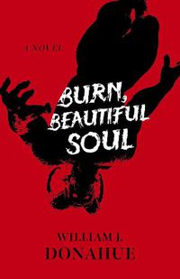 Cover image for Burn, Beautiful Soul: A Novel