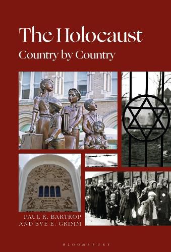 Cover image for The Holocaust