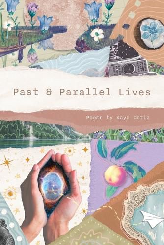 Cover image for Past & Parallel Lives