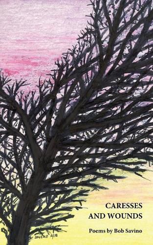 Cover image for Caresses and Wounds