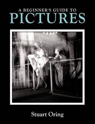 Cover image for A Beginner's Guide to Pictures