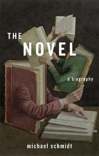 Cover image for The Novel: A Biography