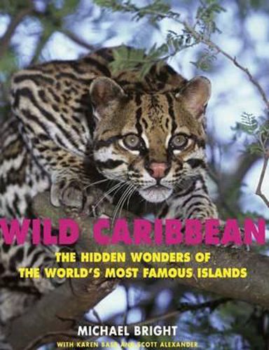 Cover image for Wild Caribbean: The Hidden Wonders of the World's Most Famous Islands
