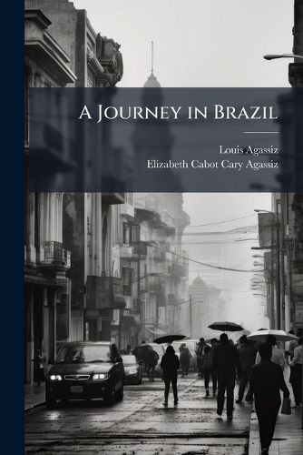 Cover image for A Journey in Brazil