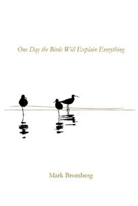 Cover image for One Day the Birds Will Explain Everything