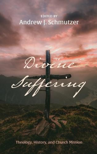 Cover image for Divine Suffering