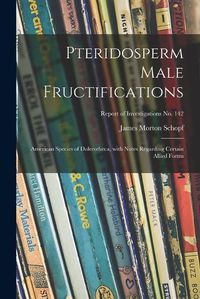 Cover image for Pteridosperm Male Fructifications; American Species of Dolerotheca, With Notes Regarding Certain Allied Forms; Report of Investigations No. 142