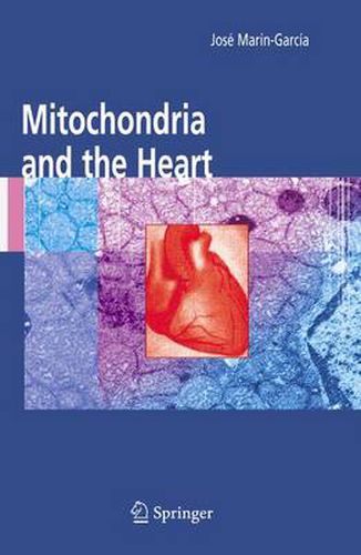 Cover image for Mitochondria and the Heart