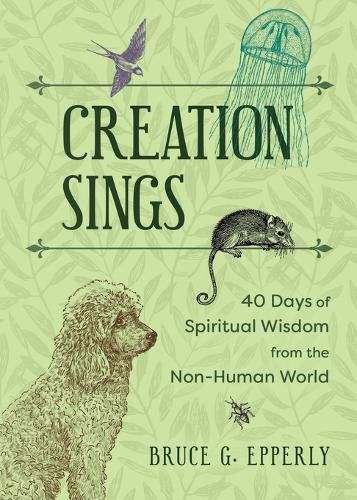 Cover image for Creation Sings