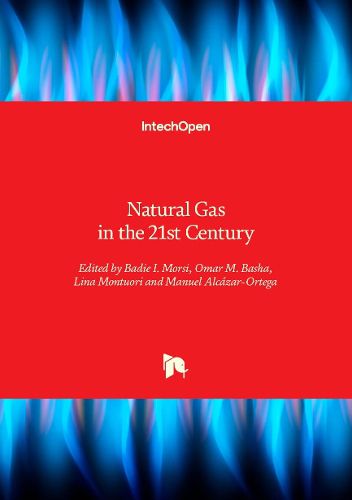 Cover image for Natural Gas in the 21st Century