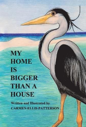 Cover image for My Home Is Bigger Than A House