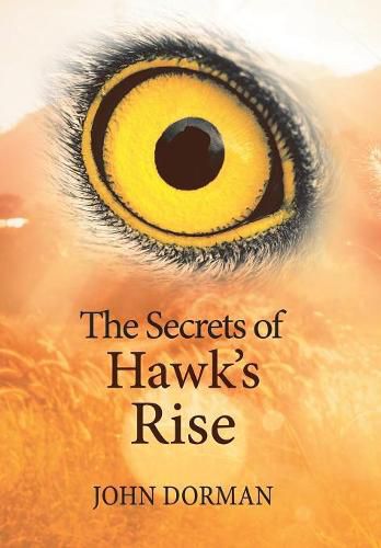 Cover image for The Secrets of Hawk'S Rise