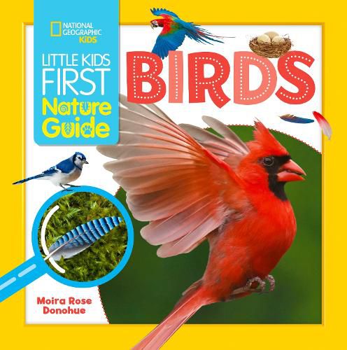 Cover image for Little Kids First Nature Guide Birds