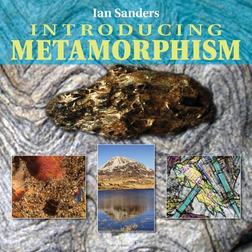 Cover image for Introducing Metamorphism