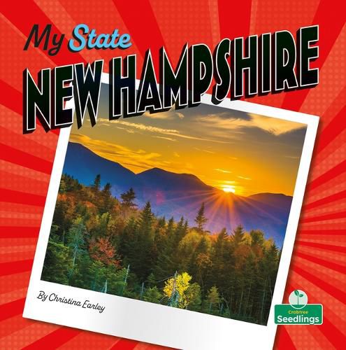 Cover image for New Hampshire