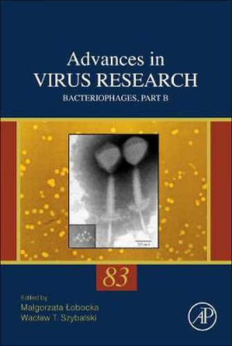 Cover image for Bacteriophages, Part B