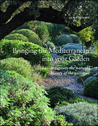 Cover image for Bringing the Mediterranean into your Garden: How to Capture the Natural Beauty of the Garrigue