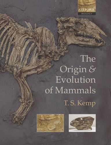 Cover image for The Origin and Evolution of Mammals