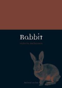 Cover image for Rabbit