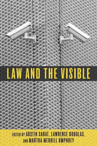 Cover image for Law and the Visible