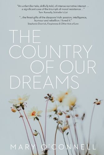 Cover image for The Country of Our Dreams: A Novel of Ireland & Australia