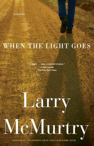 Cover image for When the Light Goes